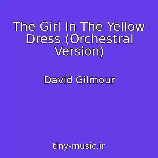 کاور آهنگ The Girl In The Yellow Dress (Orchestral Version) از David Gilmour
