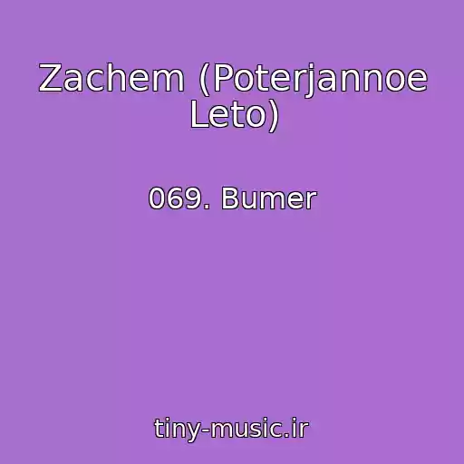 کاور آهنگ Zachem (Poterjannoe Leto) از 069. Bumer