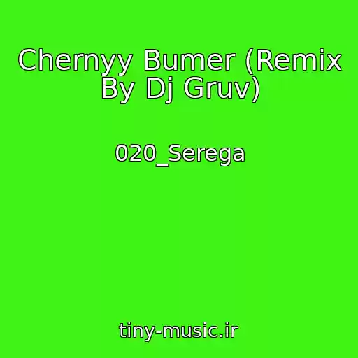 کاور آهنگ Chernyy Bumer (Remix By Dj Gruv) از 020_Serega