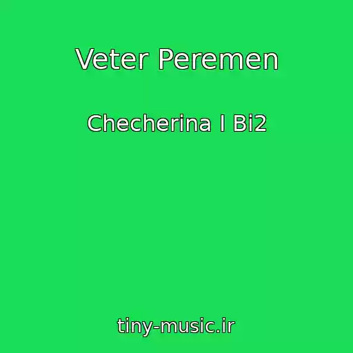 کاور آهنگ Veter Peremen از Checherina I Bi2