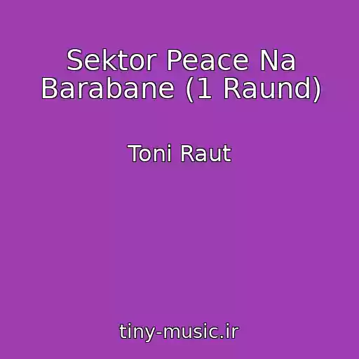 کاور آهنگ Sektor Peace Na Barabane (1 Raund) از Toni Raut