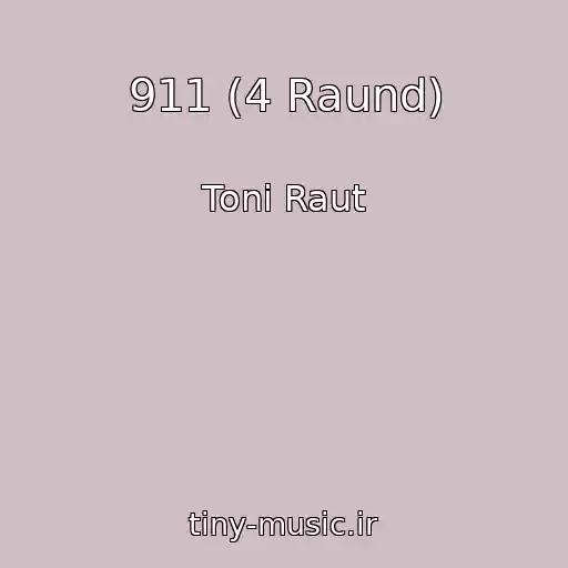 کاور آهنگ 911 (4 Raund) از Toni Raut