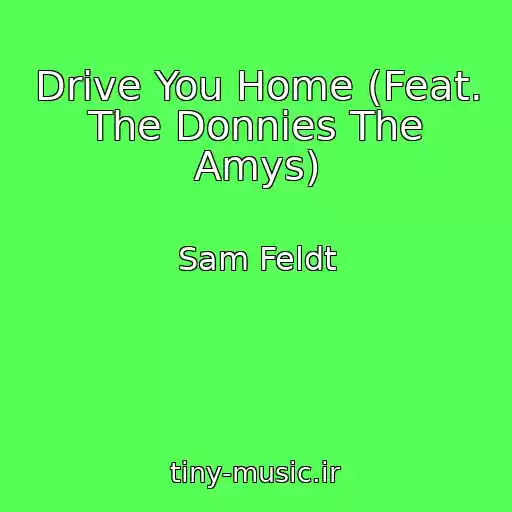 کاور آهنگ Drive You Home (Feat. The Donnies The Amys) از Sam Feldt