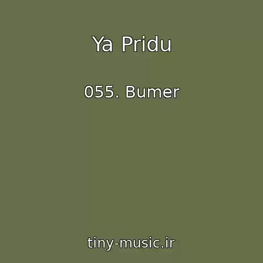 کاور آهنگ Ya Pridu از 055. Bumer