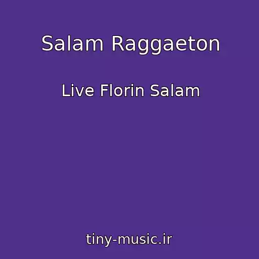 کاور آهنگ Salam Raggaeton از Live Florin Salam