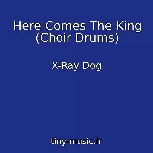 کاور آهنگ Here Comes The King (Choir Drums) از X-Ray Dog