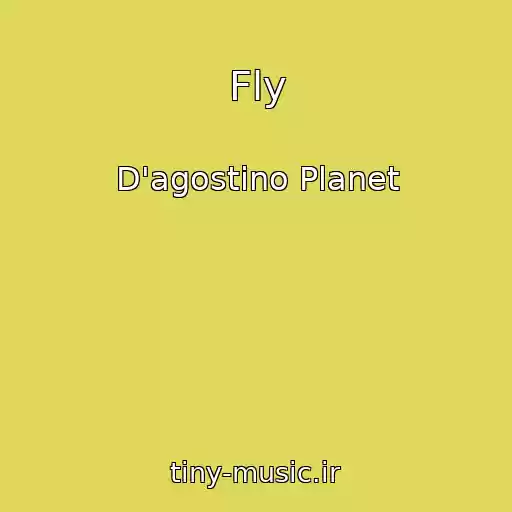 کاور آهنگ Fly از D'agostino Planet