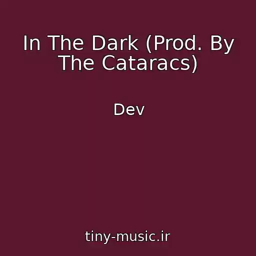 کاور آهنگ In The Dark (Prod. By The Cataracs) از Dev