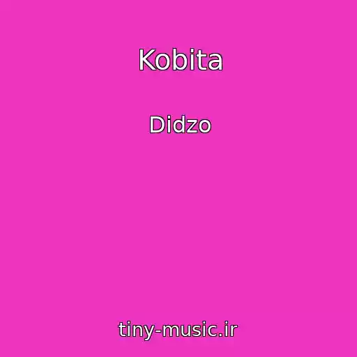 کاور آهنگ Kobіta از Dіdzo