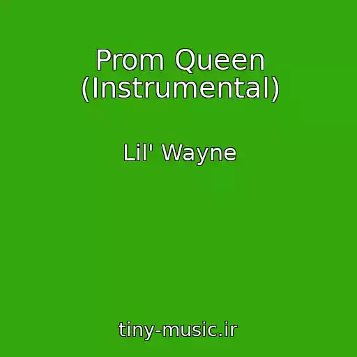 کاور آهنگ Prom Queen (Instrumental) از Lil' Wayne