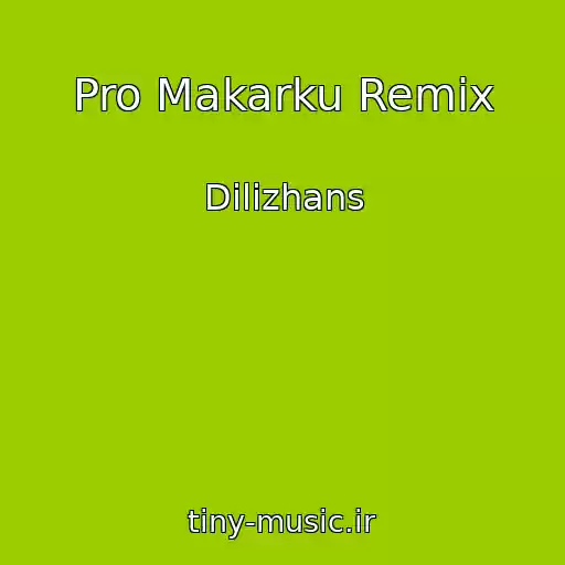 کاور آهنگ Pro Makarku Remix از Dilizhans