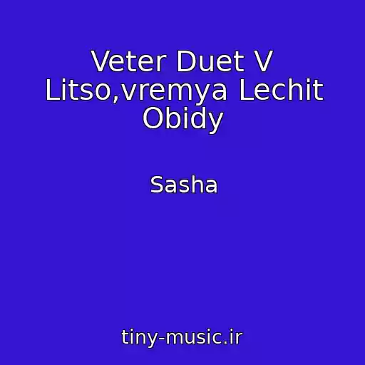 کاور آهنگ Veter Duet V Litso,vremya Lechit Obidy از Sasha