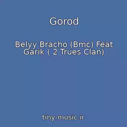 کاور آهنگ Gorod از Belyy Bracho (Bmc) Feat Garik ( 2 Trues Clan)