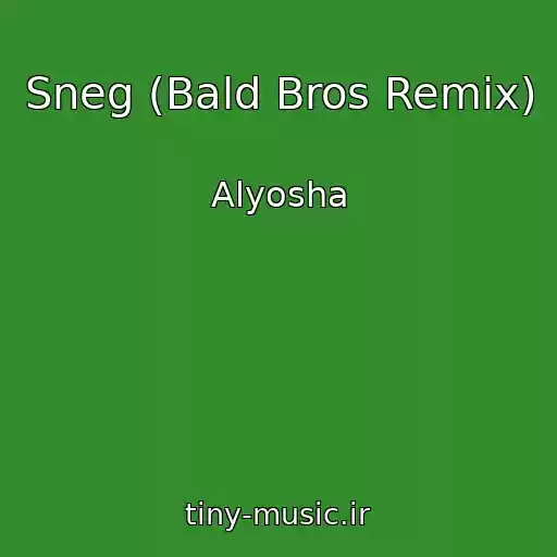 کاور آهنگ Sneg (Bald Bros Remix) از Alyosha