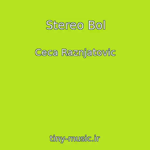 کاور آهنگ Stereo Bol از Ceca Raznjatovic