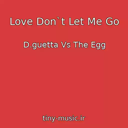 کاور آهنگ Love Don`t Let Me Go از D.guetta Vs The Egg