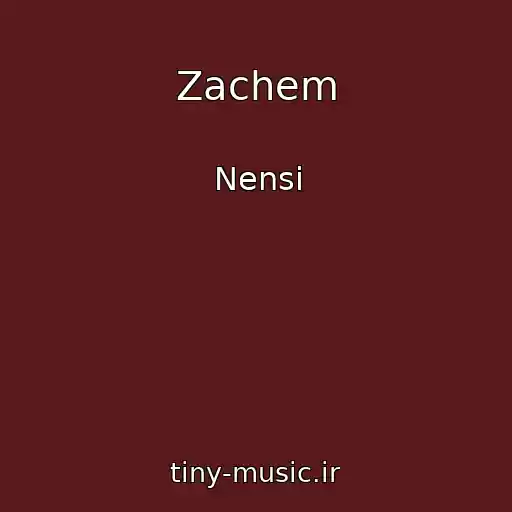 کاور آهنگ Zachem از Nensi