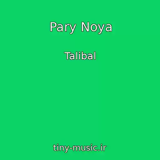 کاور آهنگ Pary Noya از Talibal