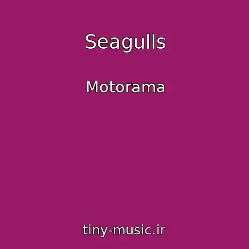 کاور آهنگ Seagulls از Motorama
