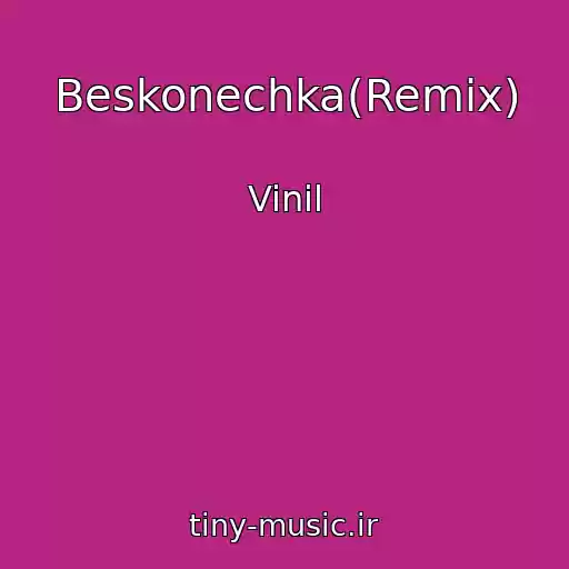 کاور آهنگ Beskonechka(Remix) از Vinil