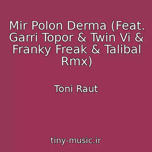 کاور آهنگ Mir Polon Derma (Feat. Garri Topor & Twin Vi & Franky Freak & Talibal Rmx) از Toni Raut