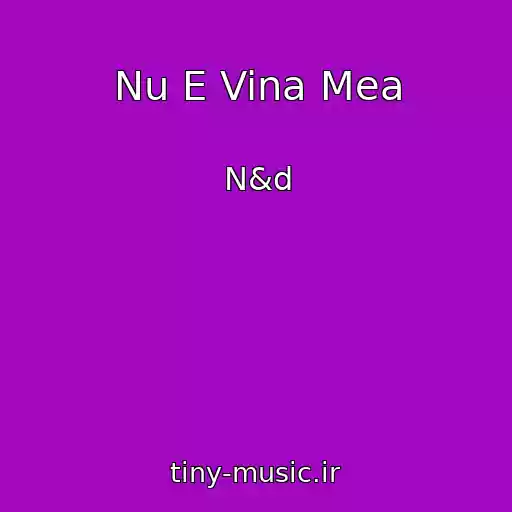 کاور آهنگ Nu E Vina Mea از N&d