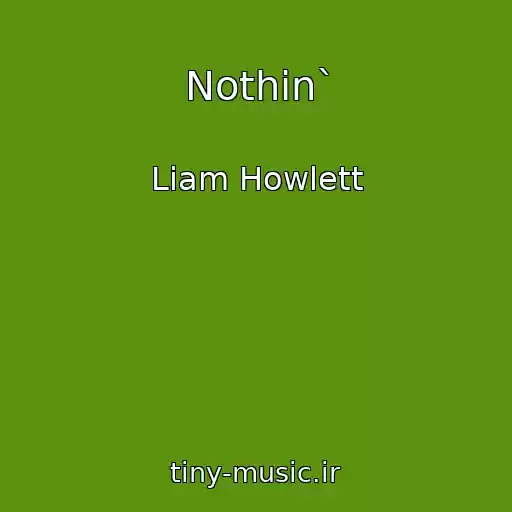 کاور آهنگ Nothin` از Liam Howlett