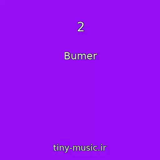کاور آهنگ 2 از Bumer