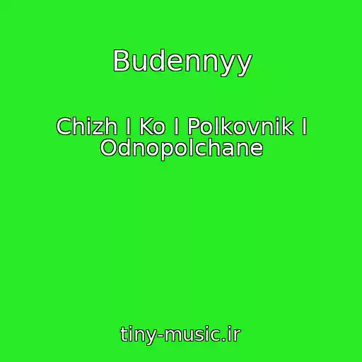 کاور آهنگ Budennyy از Chizh I Ko I Polkovnik I Odnopolchane