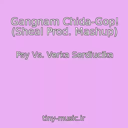 کاور آهنگ Gangnam Chida-Gop! (Sheal Prod. Mashup) از Psy Vs. Verka Serdiucika