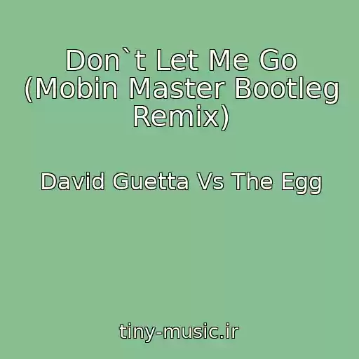 کاور آهنگ Don`t Let Me Go (Mobin Master Bootleg Remix) از David Guetta Vs The Egg