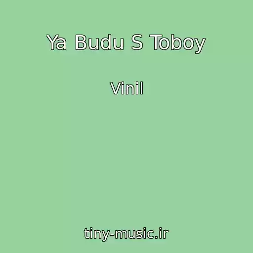 کاور آهنگ Ya Budu S Toboy از Vinil
