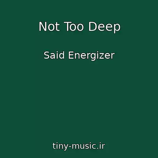 کاور آهنگ Not Too Deep از Said Energizer