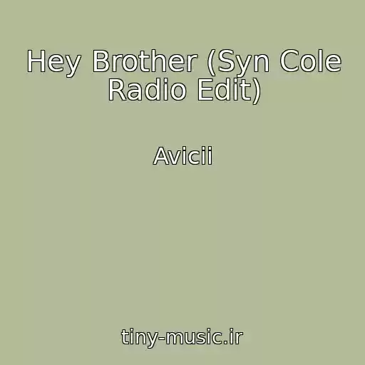 کاور آهنگ Hey Brother (Syn Cole Radio Edit) از Avicii