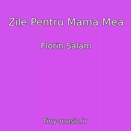 کاور آهنگ Zile Pentru Mama Mea از Florin Salam