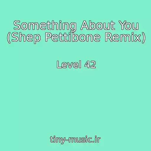 کاور آهنگ Something About You (Shep Pettibone Remix) از Level 42