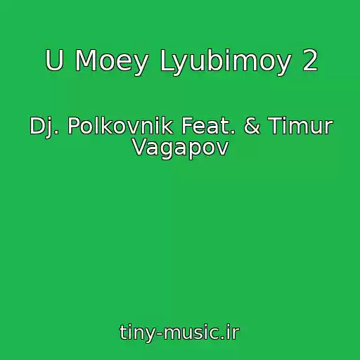 کاور آهنگ U Moey Lyubimoy 2 از Dj. Polkovnik Feat. & Timur Vagapov