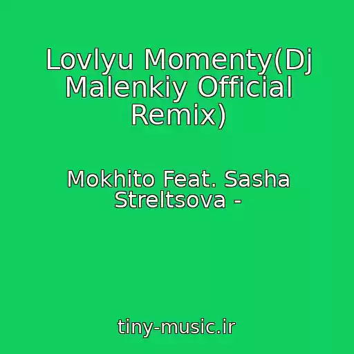 کاور آهنگ Lovlyu Momenty(Dj Malenkiy Official Remix) از Mokhito Feat. Sasha Streltsova -