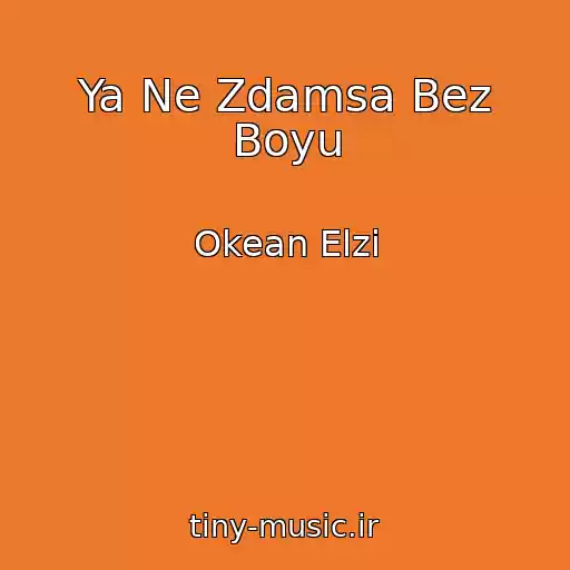 کاور آهنگ Ya Ne Zdamsa Bez Boyu از Okean Elzi