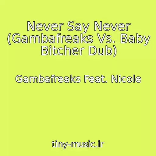 کاور آهنگ Never Say Never (Gambafreaks Vs. Baby Bitcher Dub) از Gambafreaks Feat. Nicole