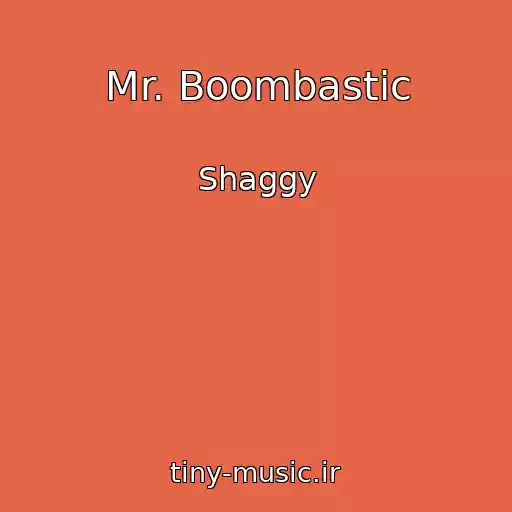 کاور آهنگ Mr. Boombastic از Shaggy