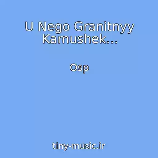 کاور آهنگ U Nego Granitnyy Kamushek... از Osp