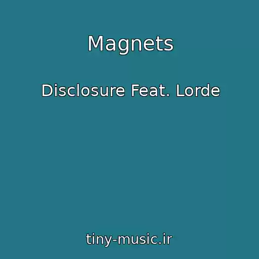 کاور آهنگ Magnets از Disclosure Feat. Lorde