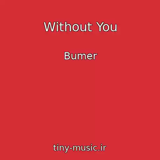 کاور آهنگ Without You از Bumer
