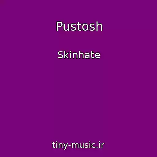 کاور آهنگ Pustosh از Skinhate