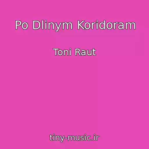 کاور آهنگ Po Dlinym Koridoram از Toni Raut