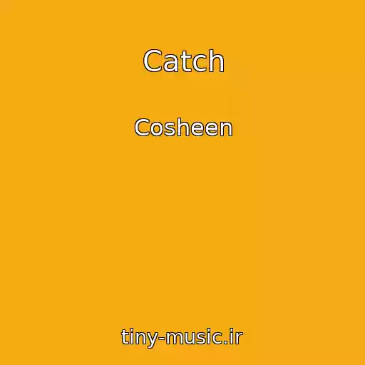 کاور آهنگ Catch از Cosheen