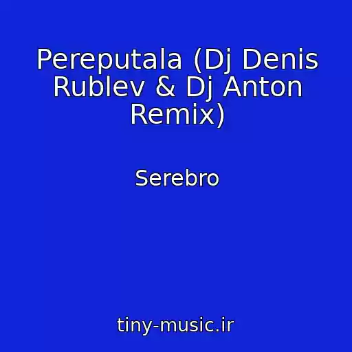 کاور آهنگ Pereputala (Dj Denis Rublev & Dj Anton Remix) از Serebro
