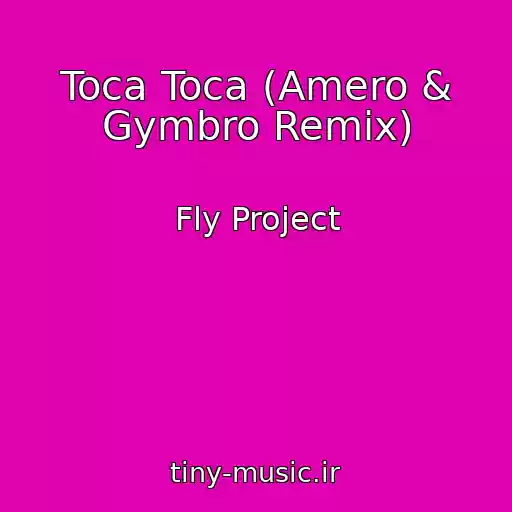 کاور آهنگ Toca Toca (Amero & Gymbro Remix) از Fly Project