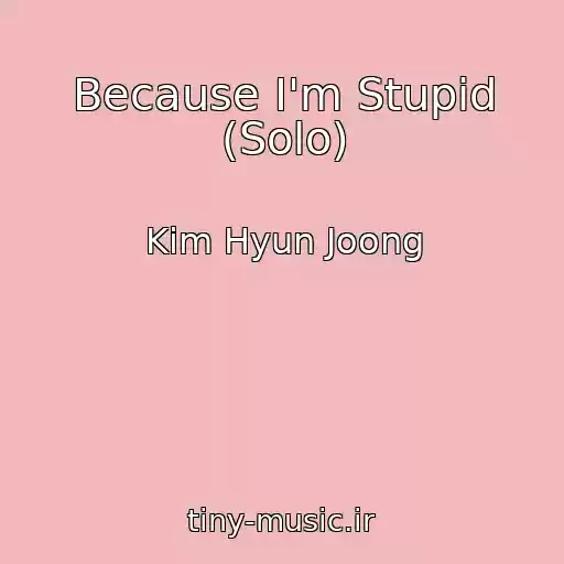 کاور آهنگ Because I'm Stupid (Solo) از Kim Hyun Joong